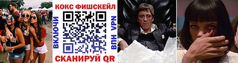 КОКАИН Fish Scale  Купить закладки  Красный Сулин 