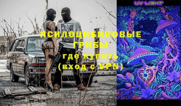твердый Ельня