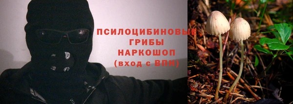 бутират Елизово