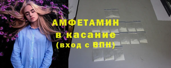 твердый Ельня