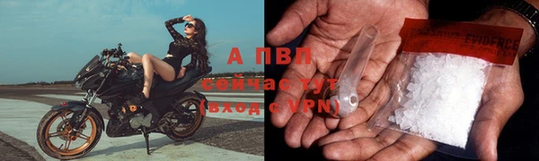 твердый Ельня