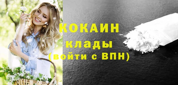 гашик Зеленокумск