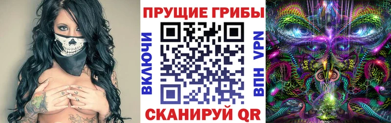 Купить где  Красный Сулин  Псилоцибиновые грибы мицелий 